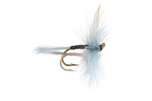 Fish Fishing Flies Blue Upright Winged Dry Fly