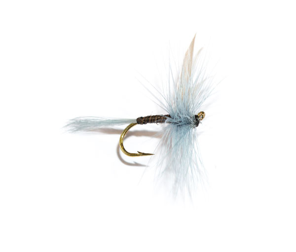 Blue Upright Winged Dry Fly from the guys at fish fishing flies