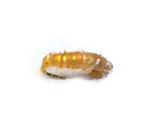 Czech Nymph Deeper Amber and Brown - Image 2