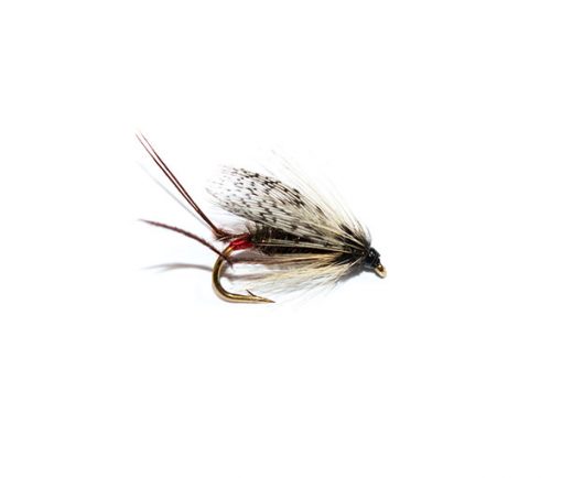 Fish Fishing Flies Despair Nymph Red Butt Soft Hackle