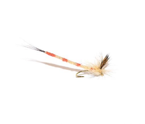 Striped Mayfly Parachute Dry Fly - Image 4