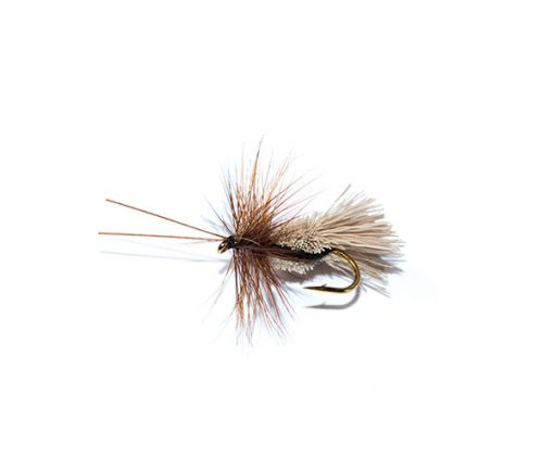 Fish Fishing Flies Goddard caddis black belly sedge