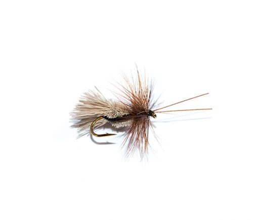 Goddard Caddis Black Belly Sedge - Image 3