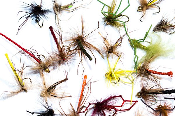 Fish Fishing Flies Brand Quality Daddy Long Leg Mixed Pack