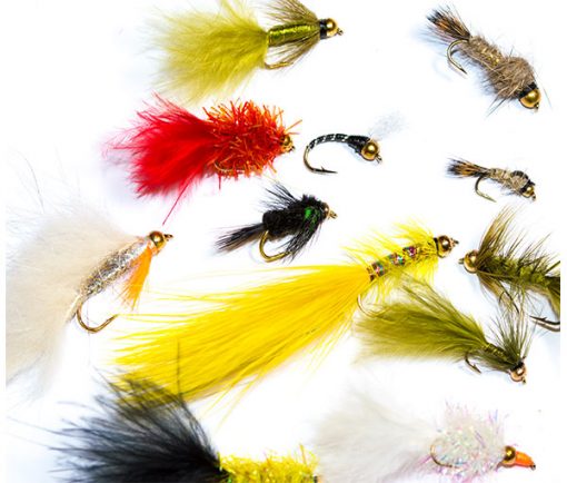 Fish Fishing Flies Goldhead Mixed Fly Pack