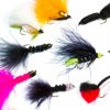 Fish Fishing Flies Lures Mixed Fly Pack