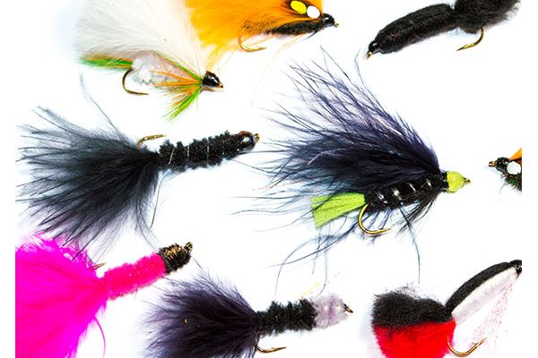 Fish Fishing Flies Lures Mixed Fly Pack