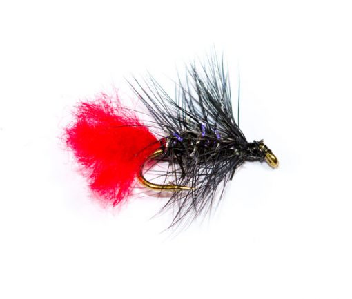 Wet Fishing Flies Straggle Fritz Black Zulu Wet