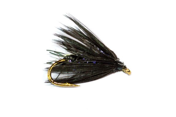 Fish Fishing Flies Straggle Fritz Black Spider Wet