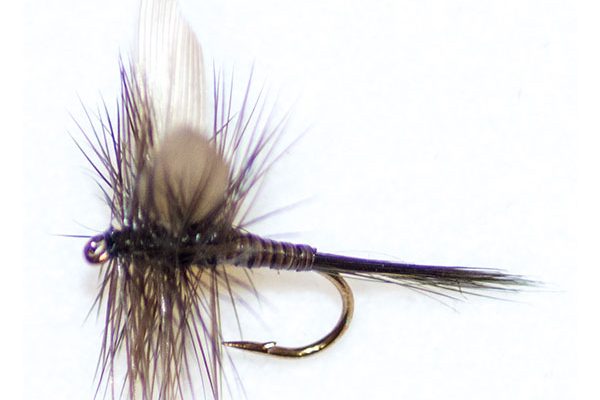 Dark Olive Quill Winged