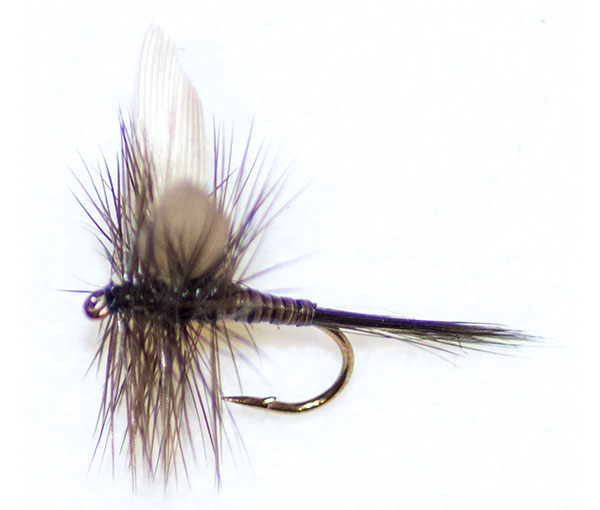 Dark olive quill winged traditional dry fly from the guys at fish ...