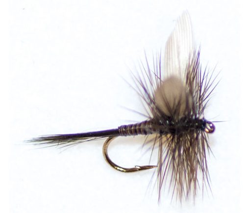 Dark Olive Quill Winged