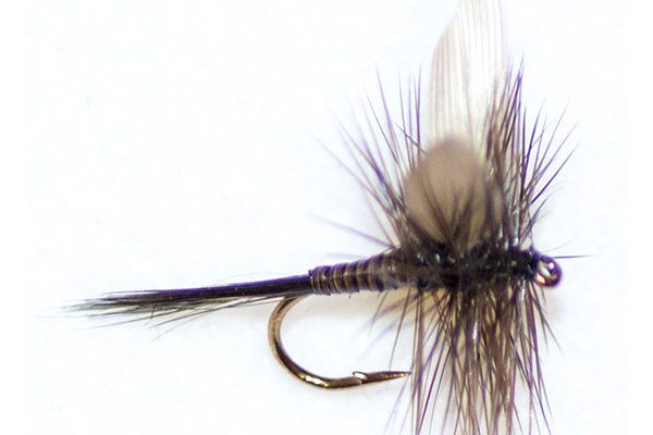 Dark Olive Quill Winged