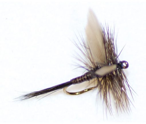 Dark Olive Quill Winged