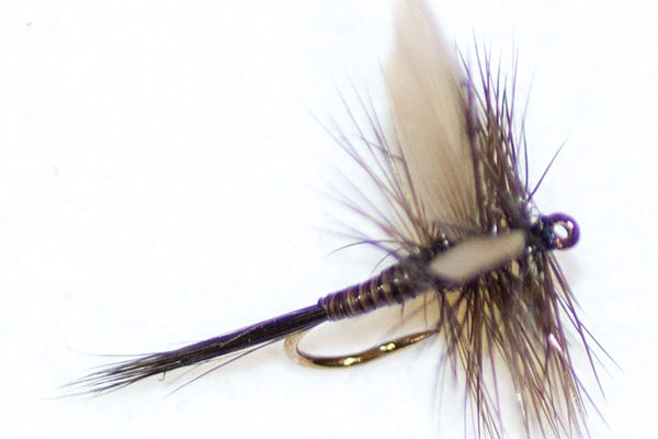 Dark Olive Quill Winged