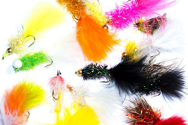 Fish Fishing Flies mixed Fritz type fishing flies pack