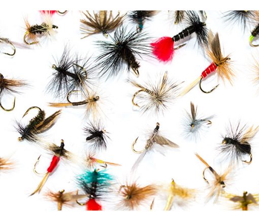 Fish Fishing Flies Dry Fly Mixed Pack