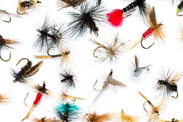 Fish Fishing Flies Dry Fly Mixed Pack