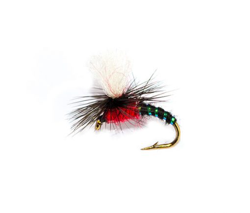 Dry Parachute Black & Red Special - Image 2