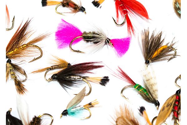 Wet Fly Mixed Pack
