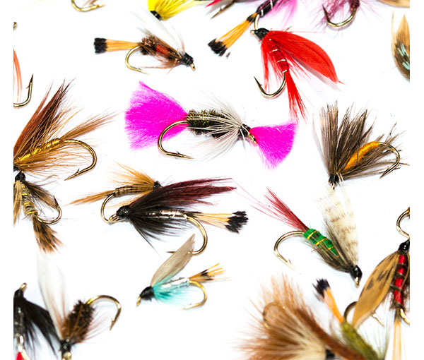 Box Toppers Selection - Wets, Buzzers, Lures, Nymphs Fly Pack fish fishing  flies