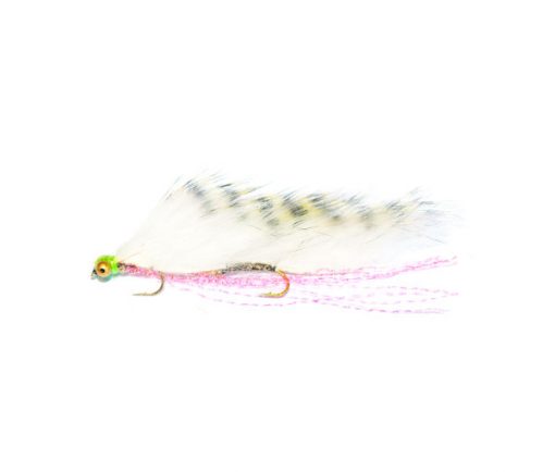 White Striped Snake - Image 2
