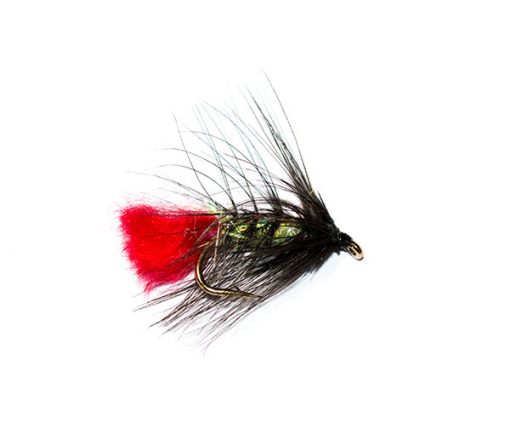 Fish Fishing Flies Brand Quality, UV Pearly Body Black Zulu