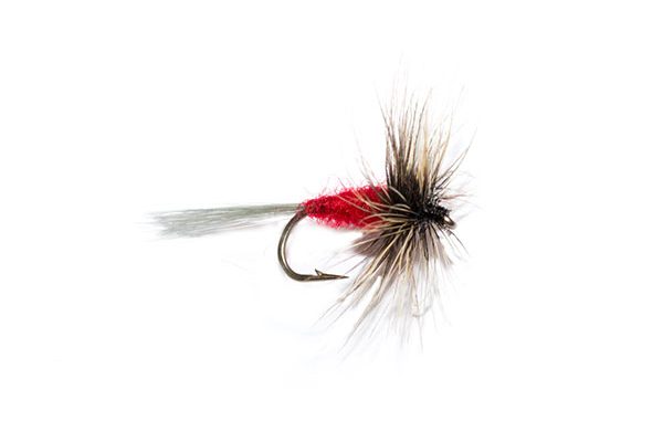 The Brand Quality Trusted Fishing Fly Retailer Fish Fishing Flies, Brings you the Grey Hen and Red