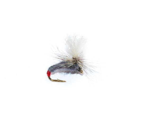 Infallible Klinkhammer fishing fly fish fishing flies brand quality