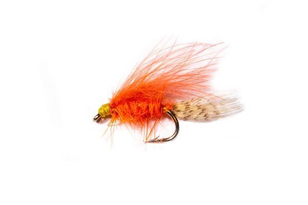 Hares Ear Orange CDC