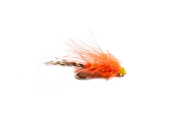 Hares Ear Orange CDC