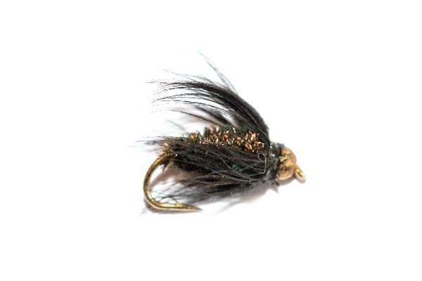 Black and Peacock Wet Fly Goldhead, Buy Fishing Flies Online