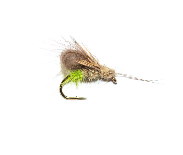 Bubble Wing Caddis Grannom fishing fly from fish fishing flies. Fly Shop