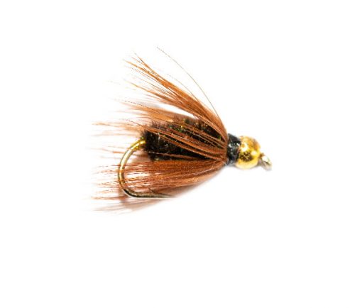 The Online Fly Shop at Fish Fishing Flies, Coachman Wet Fly Goldhead