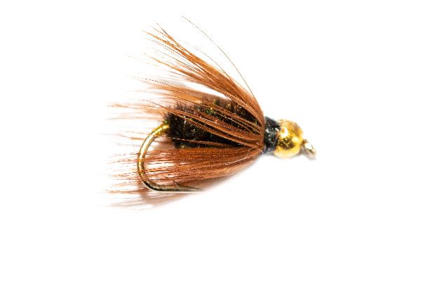 The Online Fly Shop at Fish Fishing Flies, Coachman Wet Fly Goldhead