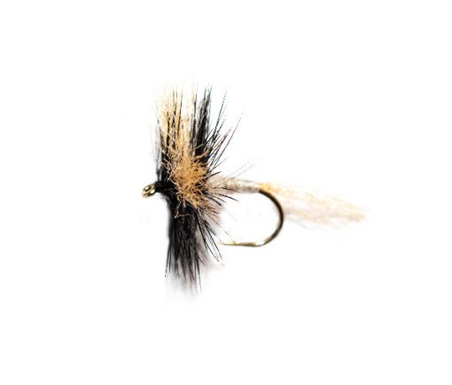 Goddard Poly Dun - Image 2
