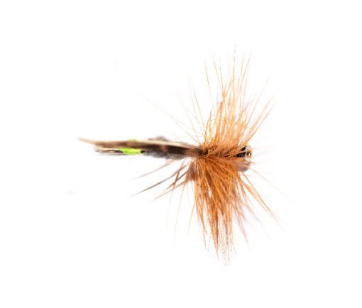 Grannom Dry Fly - Image 4