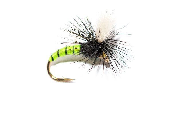 Grannom Pupa Parachute Trout Fly