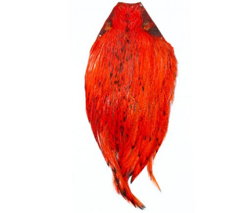 Sunset Orange Cock Cape