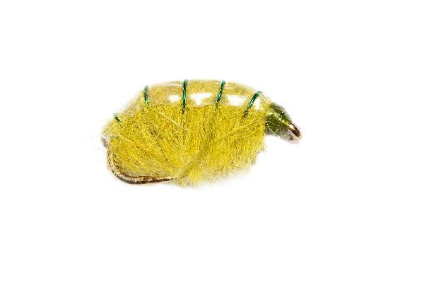 Weighted Olive Shrimper