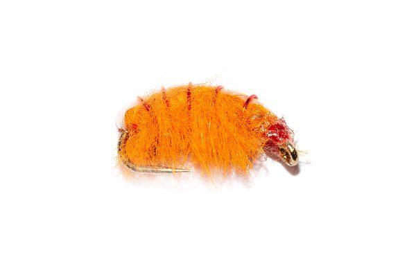 Weighted Orange Shrimper