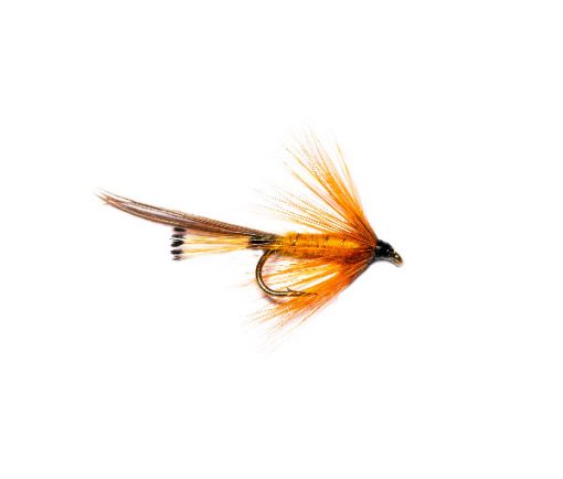 Galway Copper