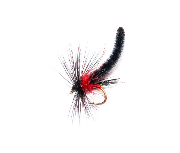 Bibio Palamino Midge, fish fishing flies. Fish Fishing Flies Fly Shop