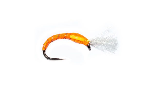 Dickinsons Orange Buzzer