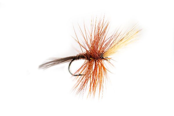 Top Ten Fishing Flies, Elk Wing Mayfly