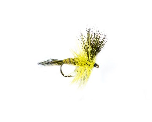 Golden Olive Wulff Dry Fly