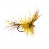 Irish Loch Mayfly