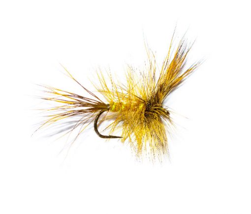 Irish Loch Mayfly