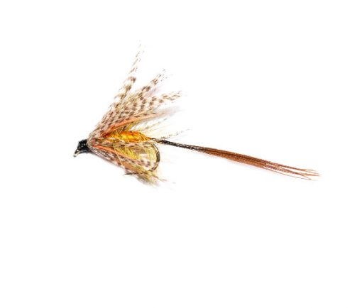 Mayfly Gosling - Image 2