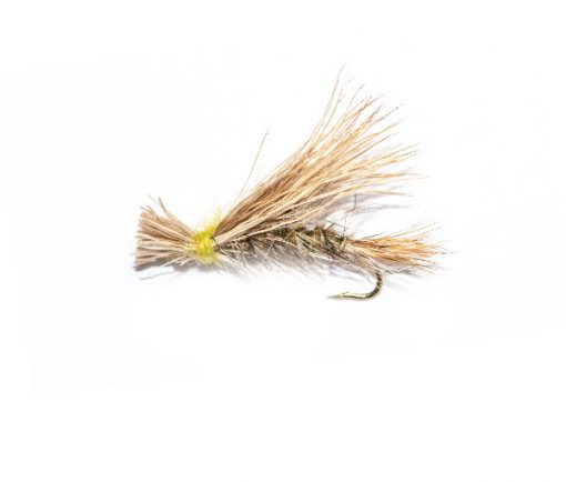Natural Emerging Mayfly - Image 2